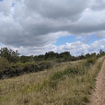 Entre lys et bois - SASSANGY