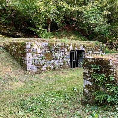 La Vouivre à la trace