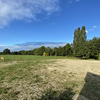 Aire de service pour Campings-cars - GERMAGNY