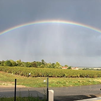 L'Atelier du Champ Ladoit - MERCUREY