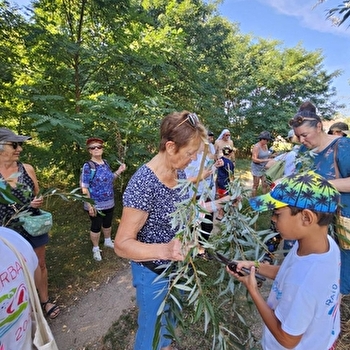 Tressage vagabond 'Vieille Loire' - DECIZE