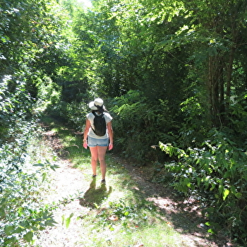 La Forêt des Hauts Bois - GRAY