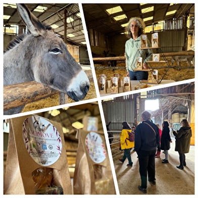 Visite de la ferme des ânesses de la Côte du Puits