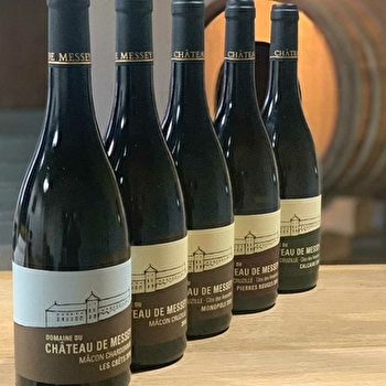 Château de Messey - OZENAY