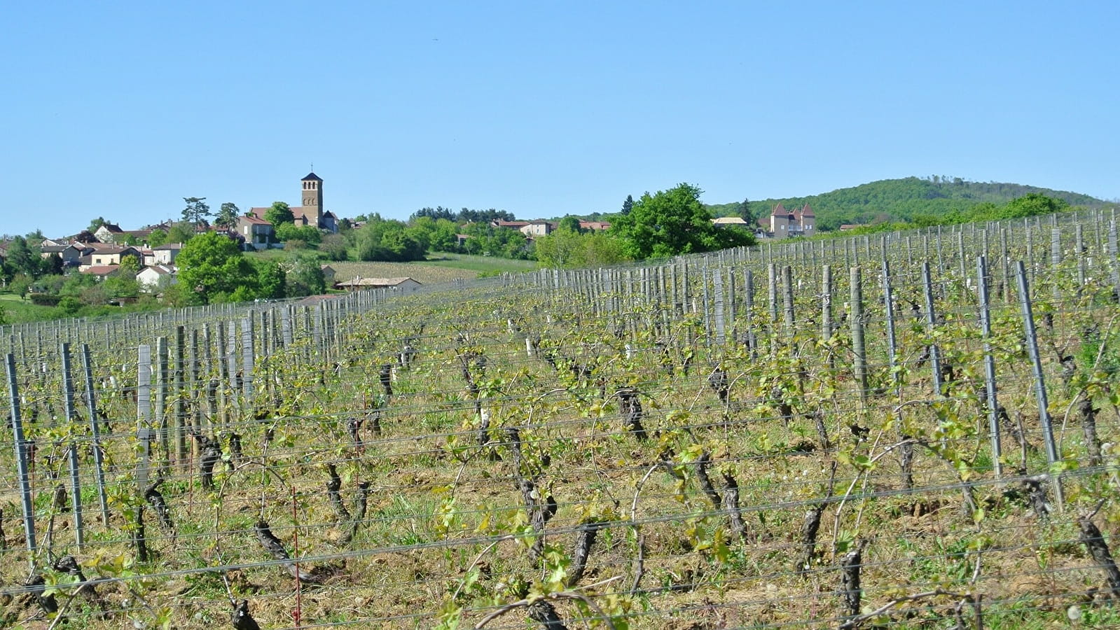 Domaine du Mont Epin