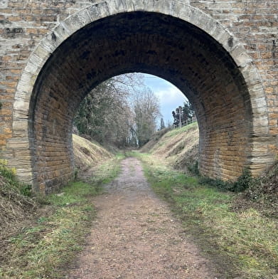 Balade Verte - Le Chêne à La Dame (CH 1)