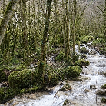Sentier des Maquisards - CERDON