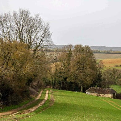 Regard sur la Forterre