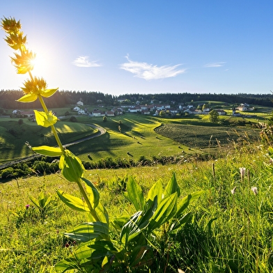 Boucle 14 : Le Tour d’Etival