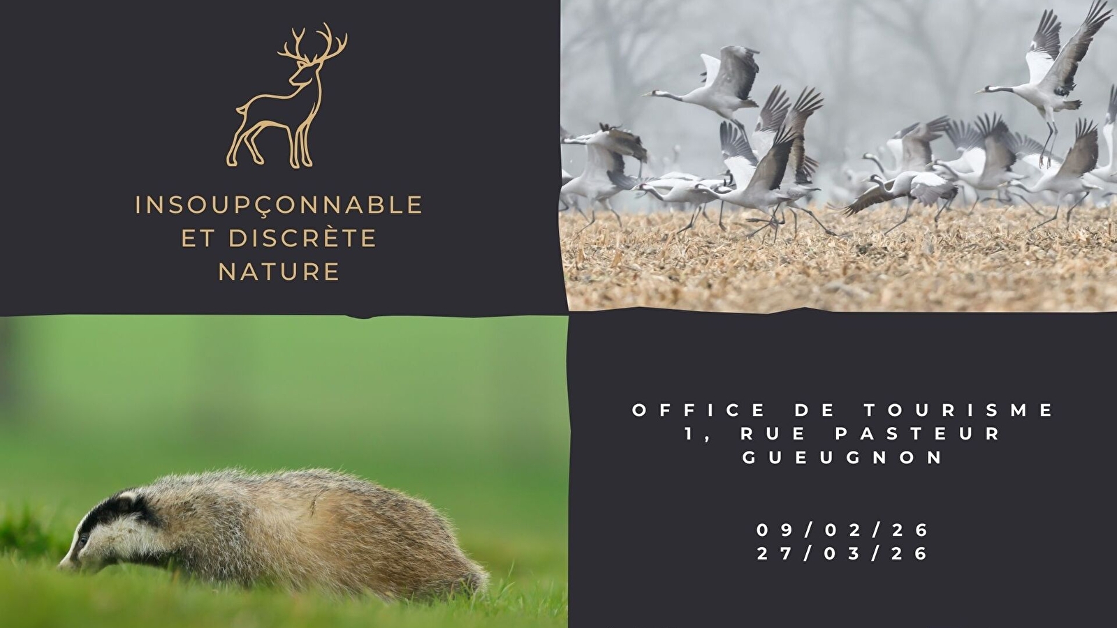 Exposition 'Insoupçonnable et discrète nature'