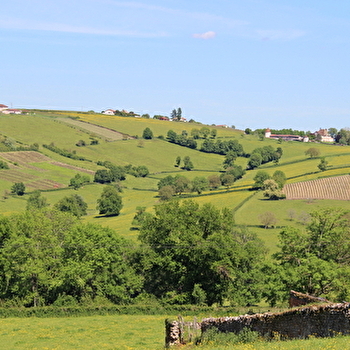 Balade des Chapelles - FLEURY-LA-MONTAGNE