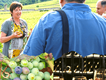 Clos de Bourgogne, les escapades 'secrets de la vigne au vin' - VOUGEOT