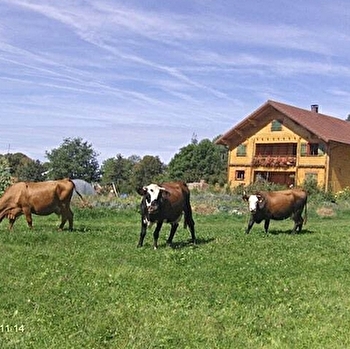 Chalet Scandinave Organique - LES PLANCHES-EN-MONTAGNE