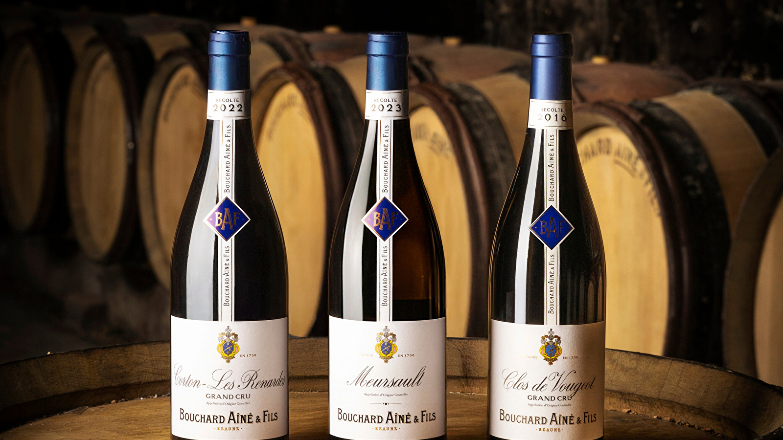 Bouchard Ainé & Fils - Visite des caves & dégustation spéciale Vente des Vins 2025 (9 vins dont 3 Grands Crus) - Beaune