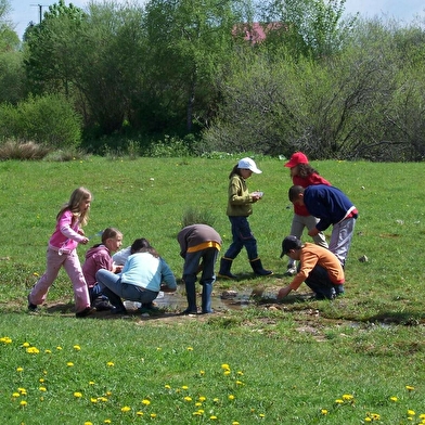 Classe verte dans les Montagnes du Jura