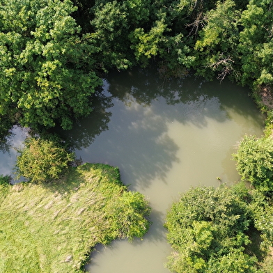 Entre Dheune et céréales