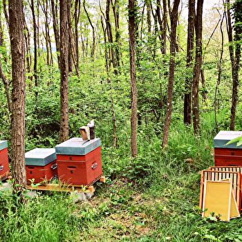 Domaine de Langcilly - MARCILLY-LA-GUEURCE