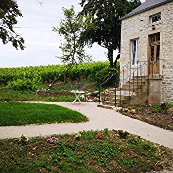 La Layotte - VOSNE-ROMANEE