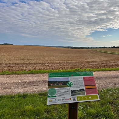 Entre Chêne et Chânois