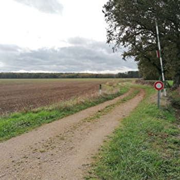 Lieu de parachutage - Seconde Guerre mondiale - SAINT-AMBREUIL