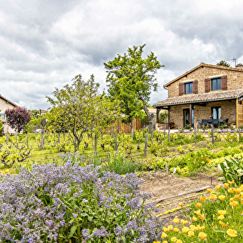 Clos de la Maison - CHARNAY-LES-MACON