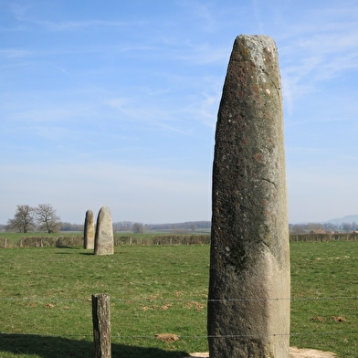 Menhirs d'Epoigny