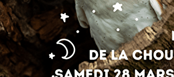 Sortie rapaces nocturnes - SAINT-ANDEUX