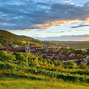 Balade à Poligny - POLIGNY