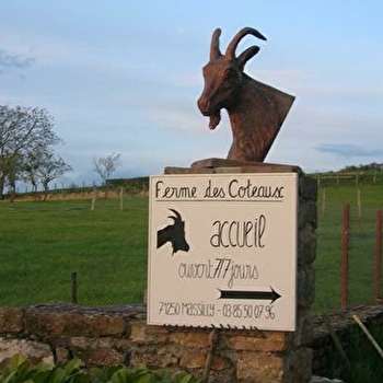 La Ferme des Coteaux - MASSILLY
