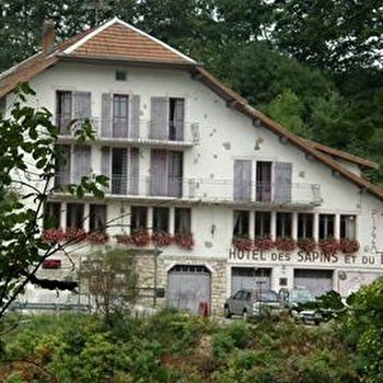 Hôtel-restaurant des Sapins et du Lac - OYE-ET-PALLET