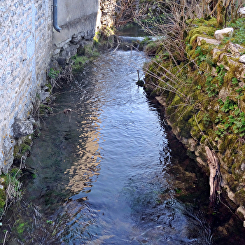 Le Tertre - SELONGEY