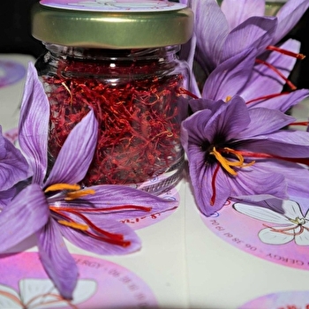 Safran du Piochys - SAUNIERES