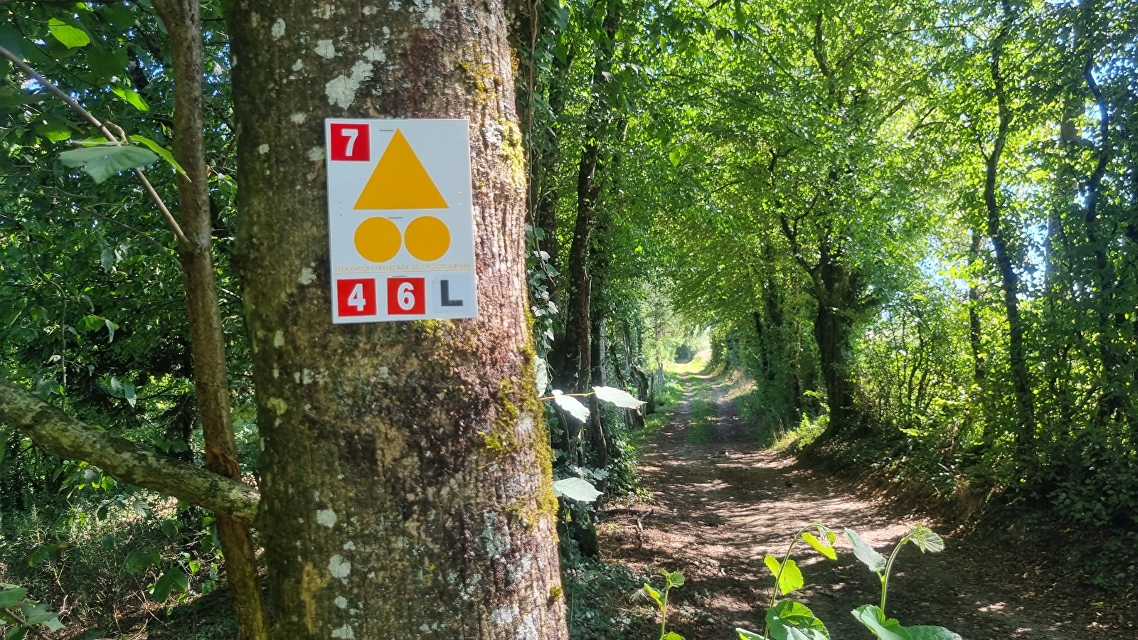 Circuit VTT-VTC n°6 (rouge) Chemins des bois de Bresse (variante courte)