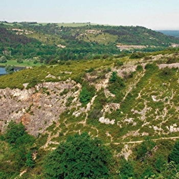 Parc de la Fontaine aux Fées - TALANT