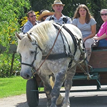 Balade en calèche - THOISSIA
