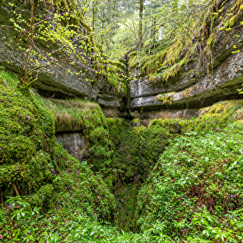 Les Aventures Fankarstiques - Ô des bois - FRASNE