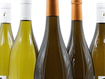 Mosnier Sylvain - BEINE