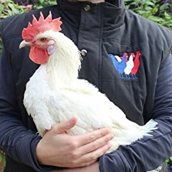 La ferme du coq bressan - COURLAOUX