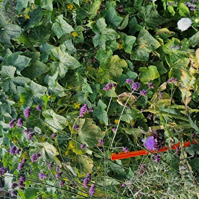 Domaine Le Puits du Moulin