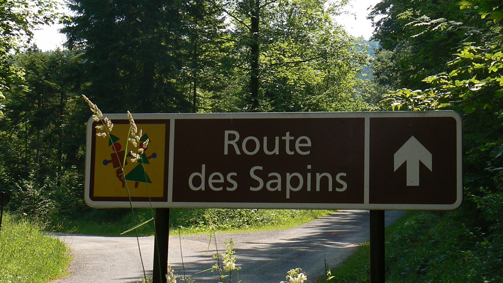 La Route des Sapins