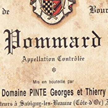 Pinte Georges et Thierry - SAVIGNY-LES-BEAUNE