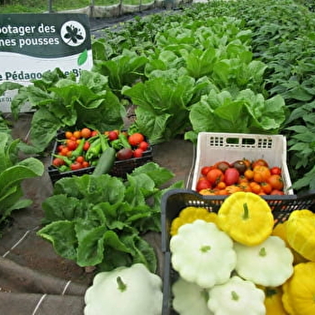 Le Potager des Jeunes Pousses - GROSMAGNY