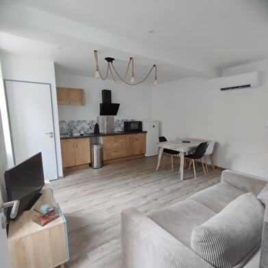 Bel appartement plein centre