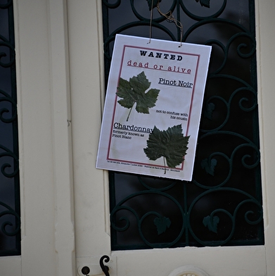 Festival de Bach à Bacchus - Visite théâtralisée  'La Clé des sols - A la recherche du pinot perdu'