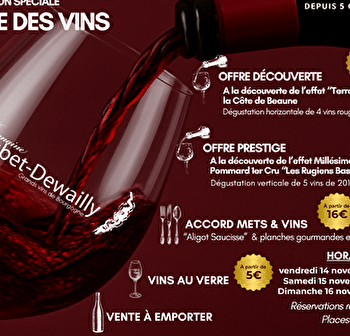 Domaine Loubet-Dewailly - Vente des Vins 2025 : dégustation 'Prestige' verticale de l'appellation Pommard 1er Cru 'Les Rugiens Bas' de 2018 à 2023 - BEAUNE