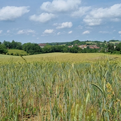 Circuit VTTAE n°9 (rouge) Revers du Revermont - version courte