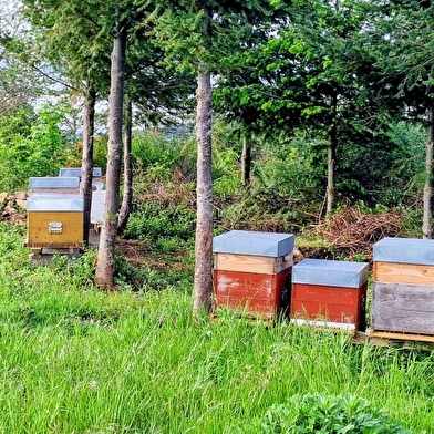Les Coulisses du Terroir - Apiculteur