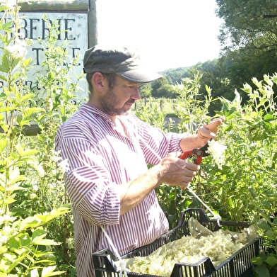 La Roulotte de l'Herberie
