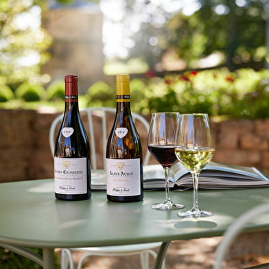 Visite dégustation spéciale Vente des Vins 2025 au Domaine du Château Philippe le Hardi