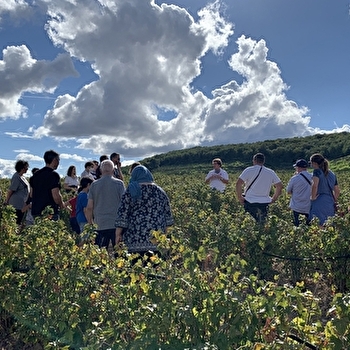 Visite 'Des vergers à l’atelier' - NUITS-SAINT-GEORGES